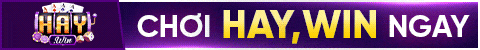 top banner